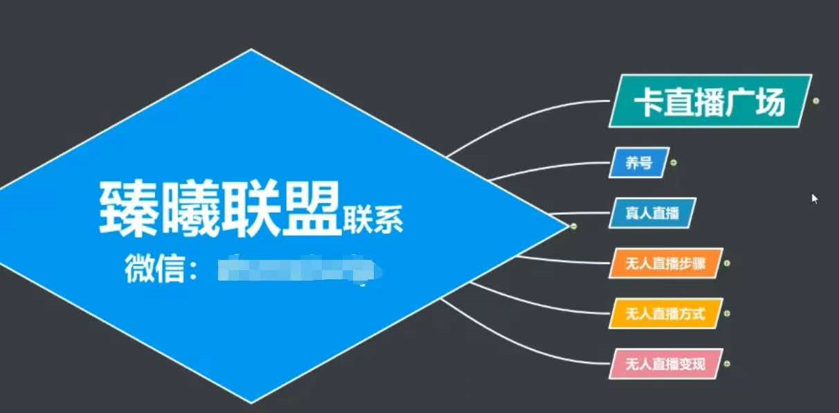 臻曦联盟，最新无人直播万人在线技术理原及详细操作步骤解析（视频教程）-绝版学习资料库