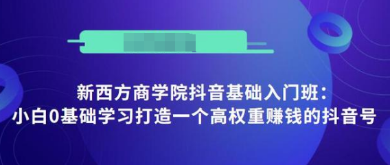 抖音基础入门班：小白0基础学习打造一个高权重赚钱的抖音号-绝版学习资料库