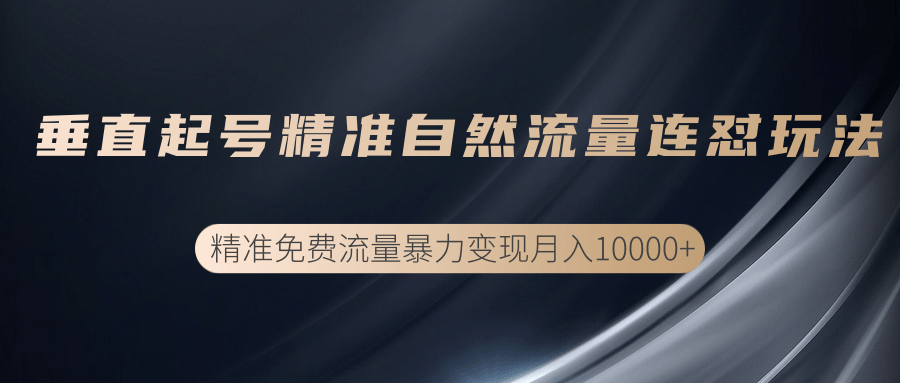 垂直起号精准自然流量连爆玩法，精准引流暴力变现月入10000+-绝版学习资料库