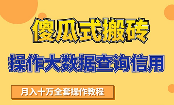 搬砖操作大数据查询信用项目赚钱教程，祝你快速月入6万-绝版学习资料库