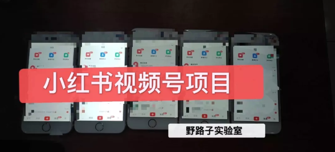 野路子小红书视频号1.0项目，直接上手操作就能赚钱的视频号项目-绝版学习资料库