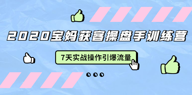 2020宝妈获客操盘手训练营：7天实战操作引爆 母婴、都市、购物宝妈流量-绝版学习资料库