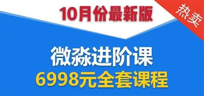 微淼理财进阶课全套视频：助你早点实现财务自由，理论学习+案例分析+实操-绝版学习资料库