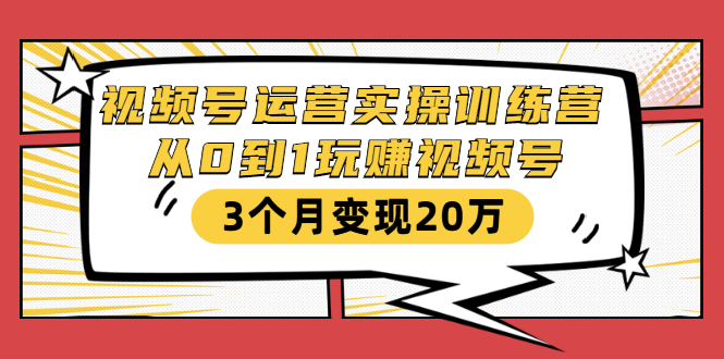 视频号运营实操训练营：从0到1玩赚视频号，3个月变现20万-绝版学习资料库