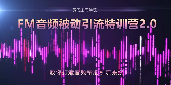 黄岛主·FM音频引流特训营2.0：独家引流模式，单账号50W+播放量，轻松变现-绝版学习资料库