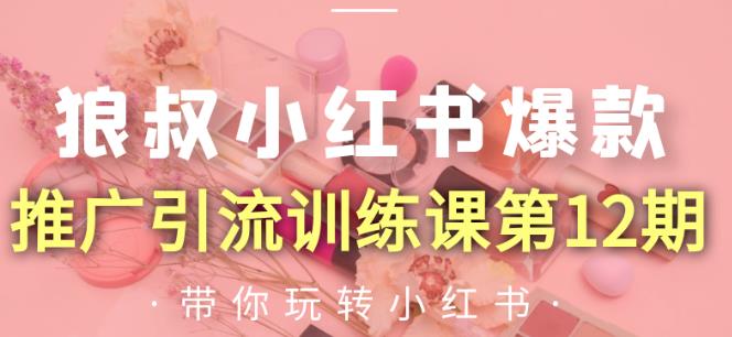 狼叔小红书爆款推广引流训练课第12期，手把手带你玩转小红书-绝版学习资料库