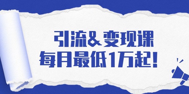 引流&变现课：分享一整套流量方法以及各个渠道收入，每月最低1万起！-绝版学习资料库