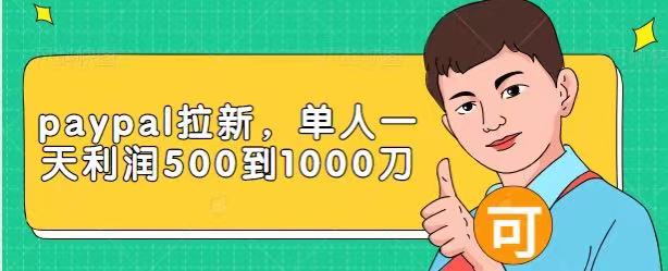 Paypal拉新赚美刀项目，单人一天利润500-1000刀【视频课程】-绝版学习资料库