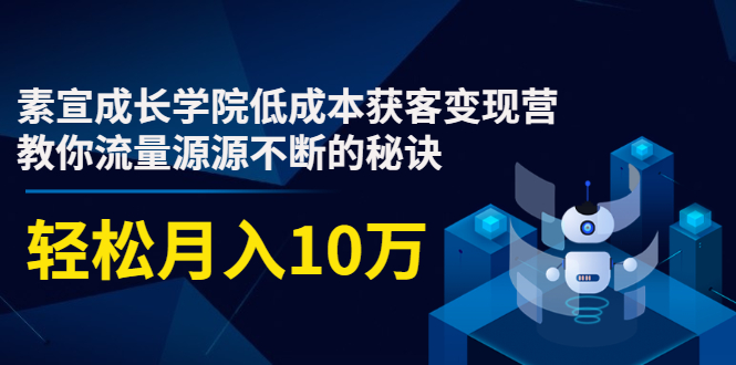 素宣成长学院低成本获客变现营，教你流量源源不断的秘诀，轻松月入10万-绝版学习资料库