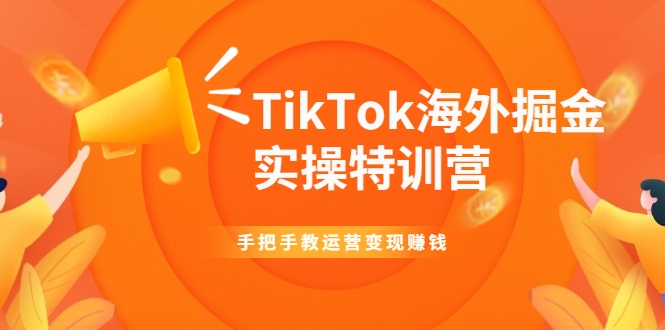 TikTok海外掘金实操特训营：手把手教运营变现赚钱-绝版学习资料库