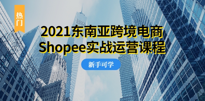 2021东南亚跨境电商Shopee实战运营课程，0基础、0经验、0投资的副业项目-绝版学习资料库