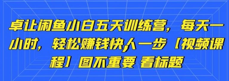 卓让闲鱼小白五天训练营，每天一小时，轻松赚钱快人一步-绝版学习资料库