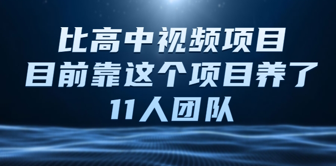 比高中视频项目，目前靠这个项目养了11人团队【视频课程】-绝版学习资料库