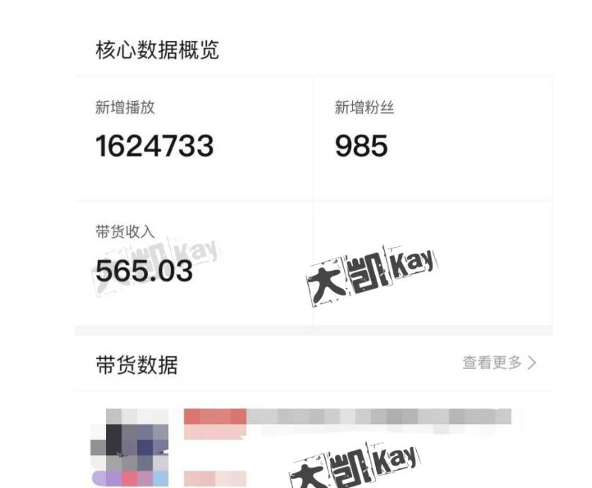 大凯进阶圈新玩法之拼多多视频玩法，利润大概一个号一天能有500~1500的左右!-绝版学习资料库