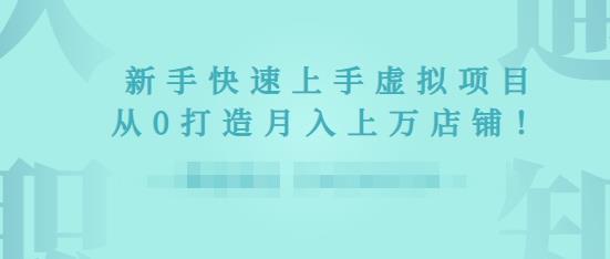 2022年虚拟项目实战指南，新手从0打造月入上万店铺-绝版学习资料库
