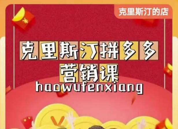 克里斯汀拼多多运营课，适合小白初涉平台，低成本入门-绝版学习资料库