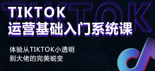Tiktok实操进阶课程，体验从tiktok小透明到大佬的完美蜕变-绝版学习资料库