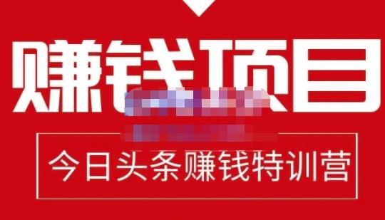 懒人领域·今日头条项目玩法，头条中视频项目，单号收益在50—500可批量-绝版学习资料库