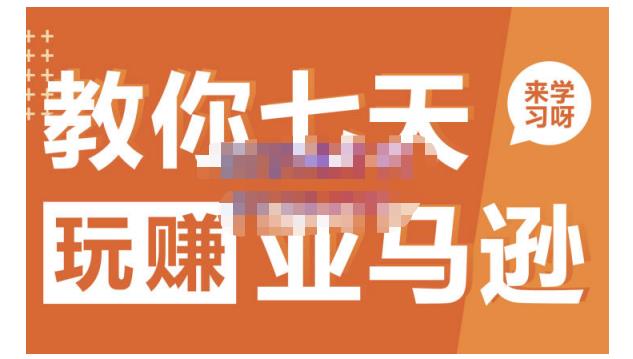 晟尧跨境·教你七天玩赚亚马逊，教你轻松玩赚亚马逊，适合小白学习-绝版学习资料库