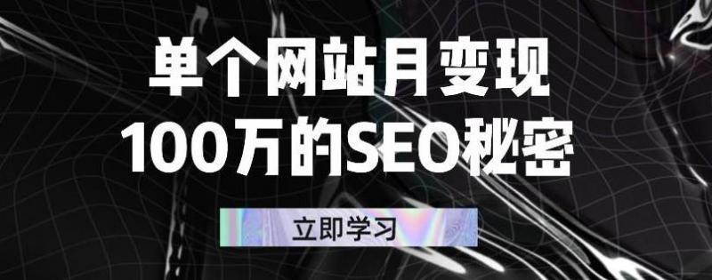 单个网站月变现100万的SEO秘密，百分百做出赚钱站点-绝版学习资料库