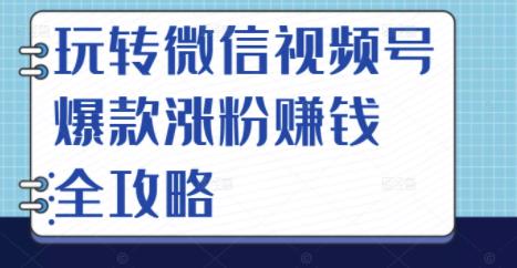 玩转微信视频号爆款涨粉赚钱全攻略，让你快速抓住流量风口，收获红利财富-绝版学习资料库
