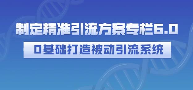 制定精准引流方案专栏6.0，0基础打造被动引流系统-绝版学习资料库