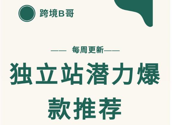 【跨境B哥】独立站潜力爆款选品推荐，测款出单率高达百分之80-绝版学习资料库