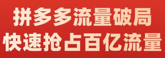 阿杰·拼多多流量破局:如何打黑标，爆款的思路，拼多多流量框架，快速抢占百亿流量-绝版学习资料库