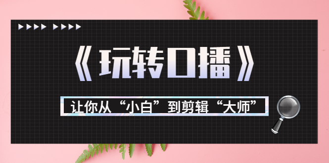 月营业额700万+大佬教您《玩转口播》让你从“小白”到剪辑“大师”-绝版学习资料库