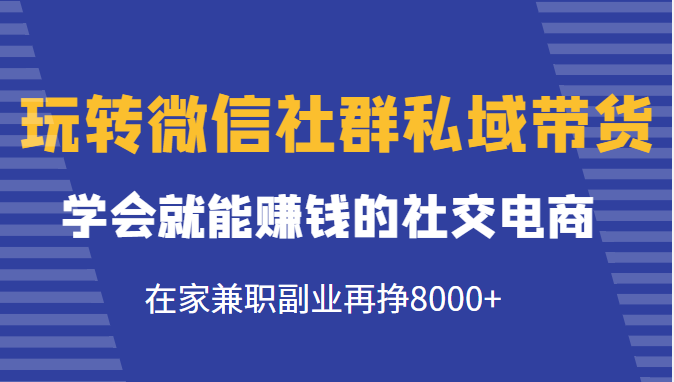 玩转微信社群私域带货，学会就能赚钱的社交电商，在家兼职副业再挣8000+-绝版学习资料库