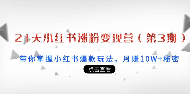 21天小红书涨粉变现营（第3期）：带你掌握小红书爆款玩法，月赚10W+秘密-绝版学习资料库