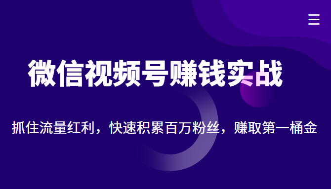 微信视频号赚钱实战：抓住流量红利，快速积累百万粉丝，赚取你的第一桶金-绝版学习资料库