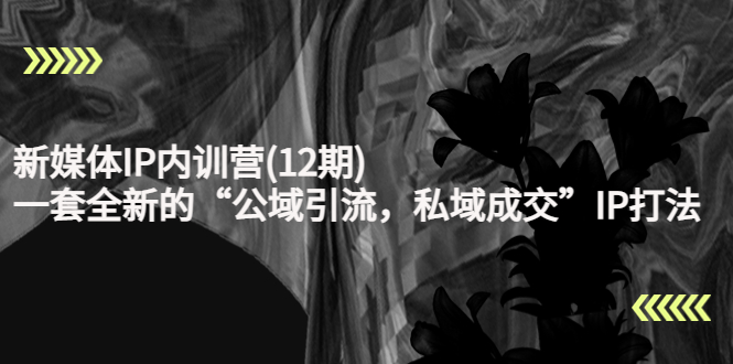 新媒体IP内训营(12期)，一套全新的“公域引流，私域成交”IP打法，直接带走-绝版学习资料库
