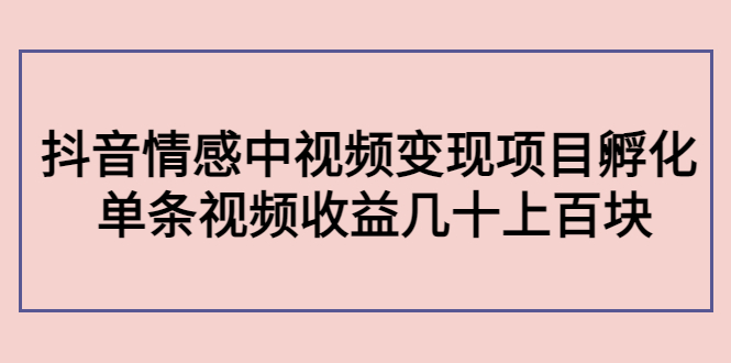 副业孵化营第5期：抖音情感中视频变现项目孵化 单条视频收益几十上百-绝版学习资料库