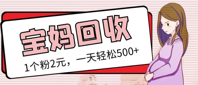 最新小红书母婴号宝妈粉回收项目，1个粉2元，一天轻松500+案例分享【粉丝包回收】-绝版学习资料库