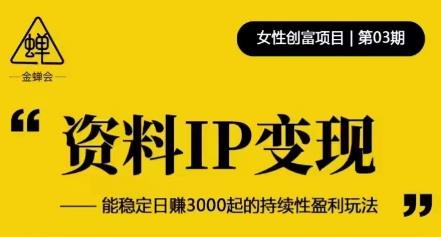 资料IP变现，能稳定日赚3000起的持续性盈利玩法-绝版学习资料库
