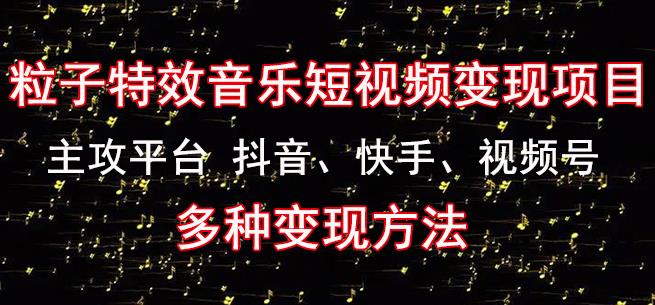黄岛主《粒子特效音乐短视频变现项目》主攻平台抖音、快手、视频号多种变现方法-绝版学习资料库