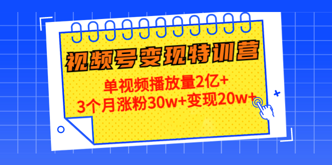 21天视频号变现特训营：单视频播放量2亿+3个月涨粉30w+变现20w+（第14期）-绝版学习资料库