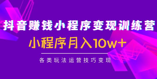抖音赚钱小程序变现训练营：小程序月入10w+各类玩法运营技巧变现-绝版学习资料库