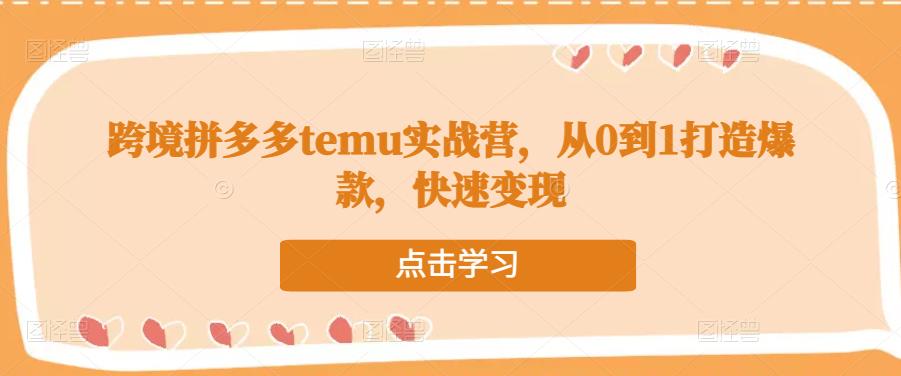 跨境拼多多temu实战营，从0到1打造爆款，快速变现-绝版学习资料库