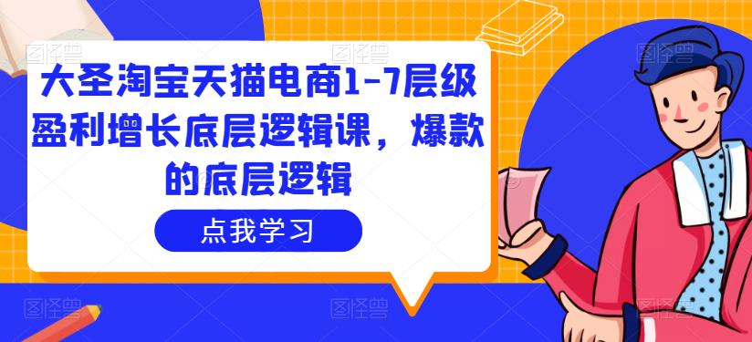 大圣淘宝天猫电商1-7层级盈利增长底层逻辑课，爆款的底层逻辑-绝版学习资料库