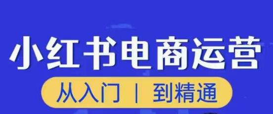 顽石小红书电商高阶运营课程，从入门到精通，玩法流程持续更新-绝版学习资料库