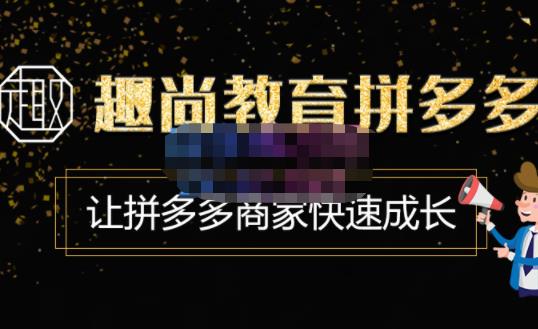 趣尚教育·拼多多运营实操VIP特训营，让拼多多商家快速成长-价值3180元-绝版学习资料库