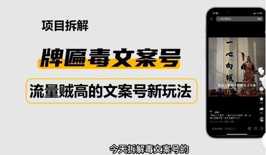 2023抖音快手毒文案新玩法，牌匾文案号，起号快易变现-绝版学习资料库
