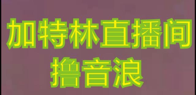 抖音加特林直播间搭建技术，抖音0粉开播，暴力撸音浪，2023新口子，每天800+【素材+详细教程】-绝版学习资料库