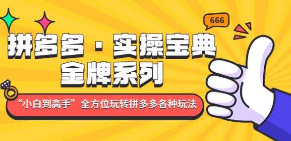 拼多多·实操宝典：金牌系列“小白到高手”带你全方位玩转拼多多各种玩法-绝版学习资料库