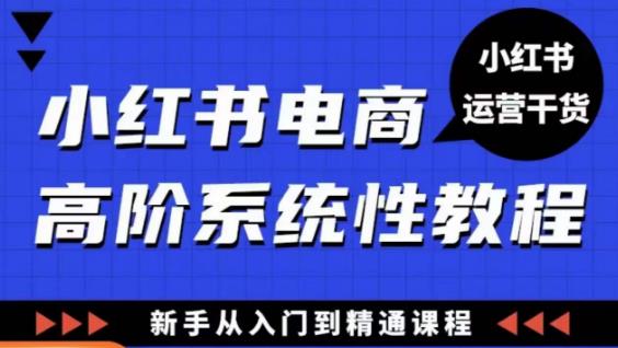 小红书电商高阶系统教程，新手从入门到精通系统课-绝版学习资料库