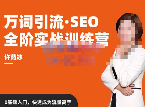 许茹冰·万词引流-SEO全阶实战训练营，0基础入门，快速成为流量高手-绝版学习资料库