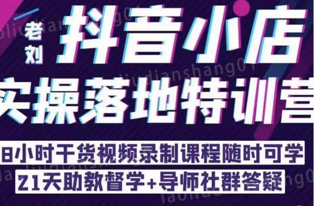 抖音小店实操落地特训营：抖音小店无货源精细化运营，抖店商品卡流量（22节）-绝版学习资料库