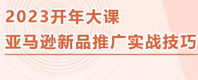 2023亚马逊新品推广实战技巧，线下百万美金课程的精简版，简单粗暴可复制，实操性强的推广手段-绝版学习资料库